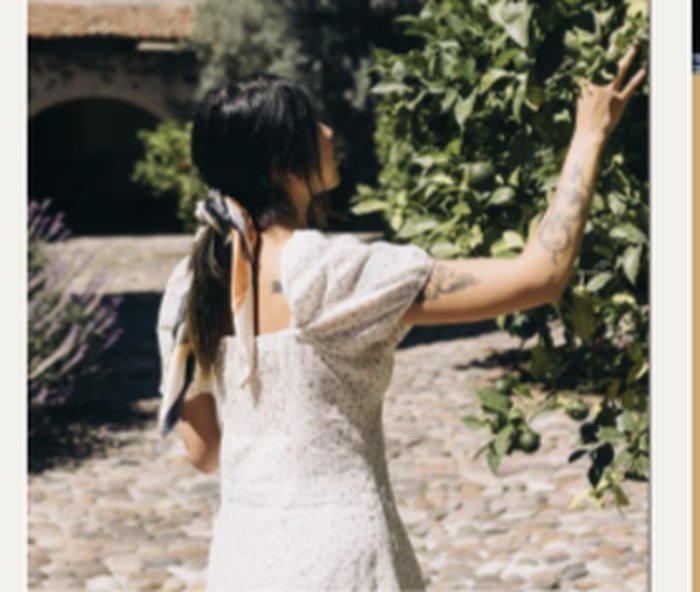 Silhouette dans un vignoble, cueillette d'une feuille de vigne